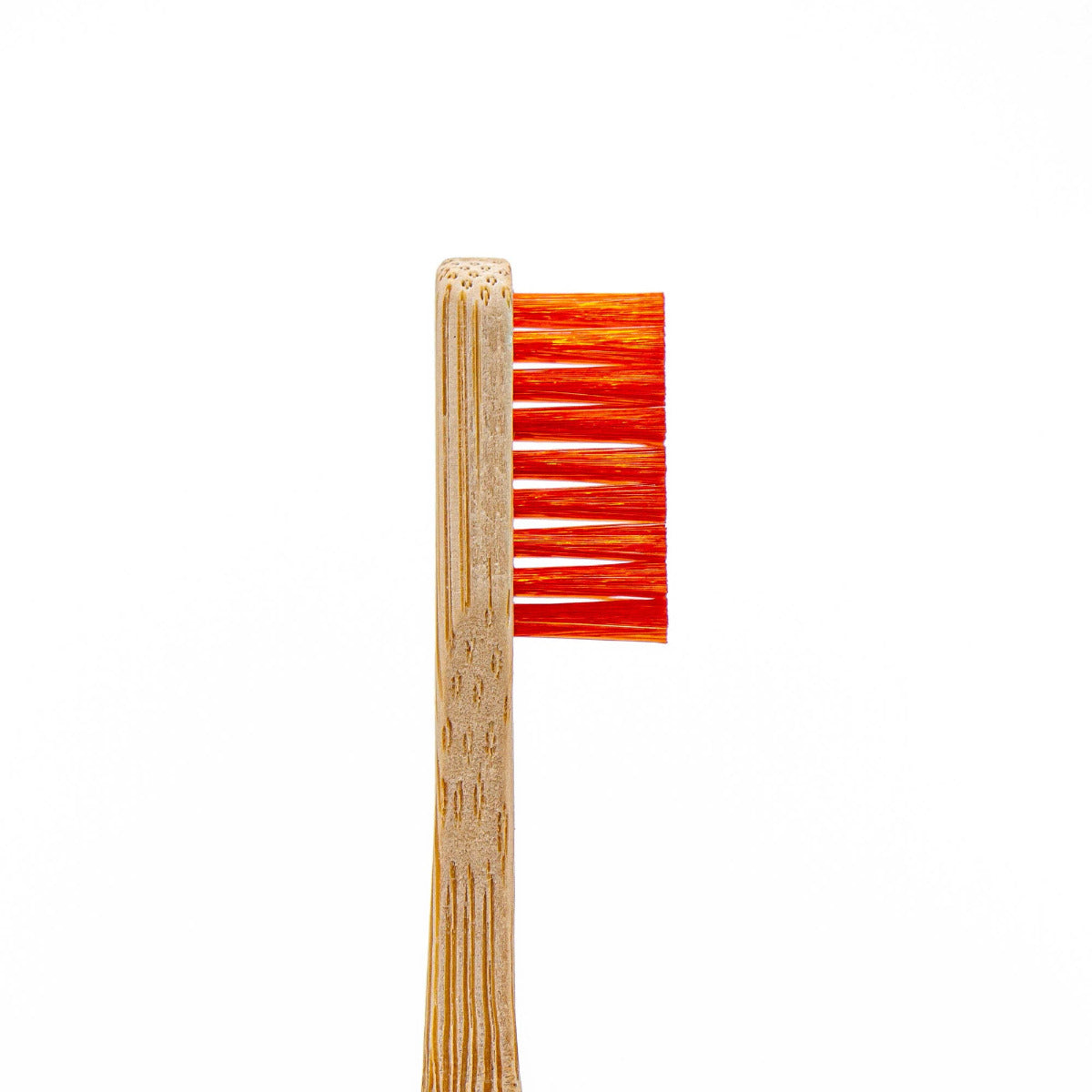 Angelus Detail Cleaning Brush Set